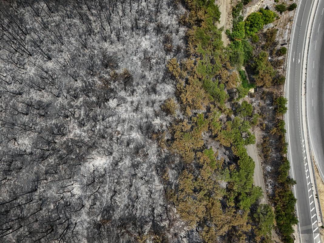 Kahreden manzara! Bornova'da yanan ormanlar dronla görüntülendi 31